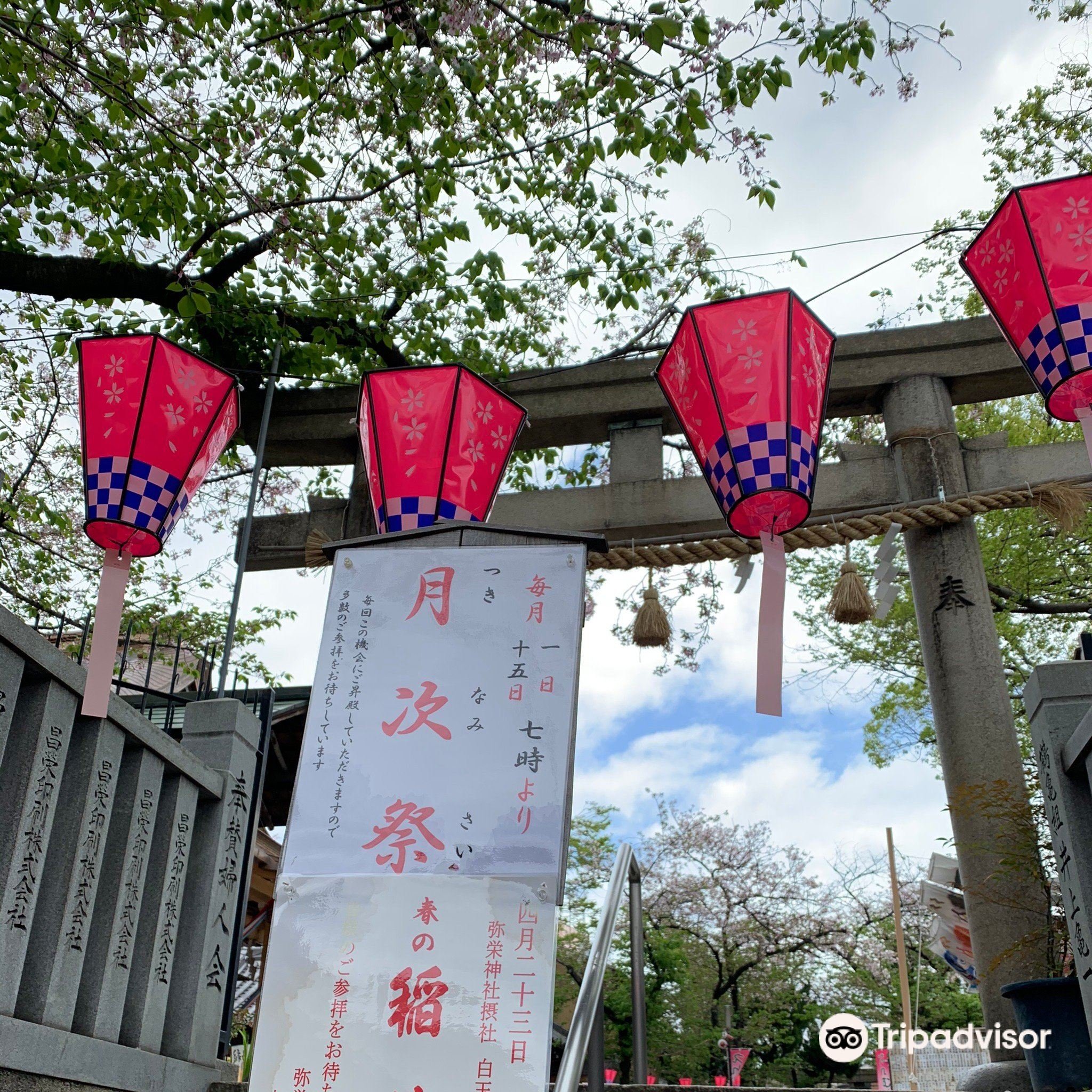 ⛩️ 야에 신사 (야에 진자) 이미지 6